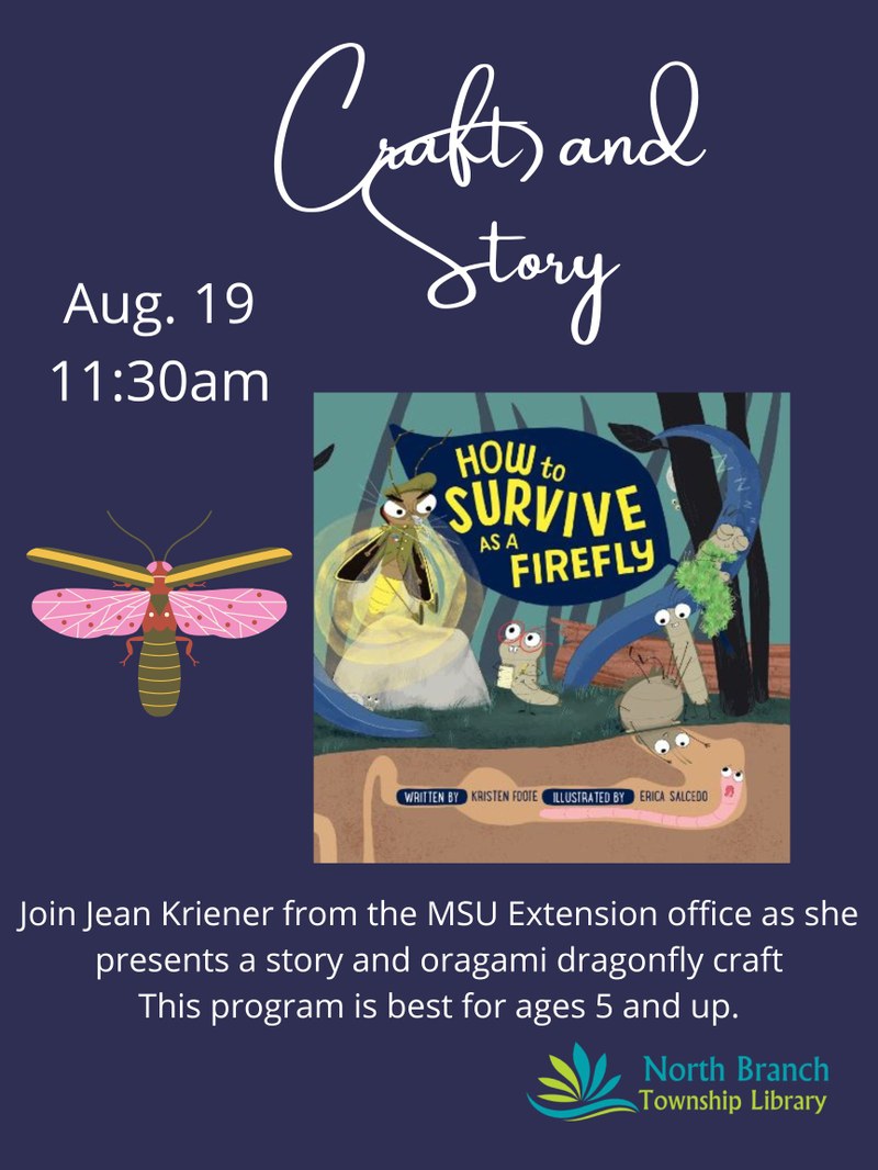 Firefly Origami and Story