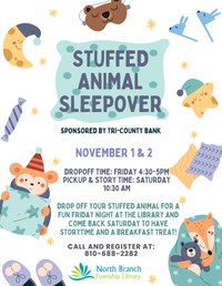 Stuffed Animal Sleep Over