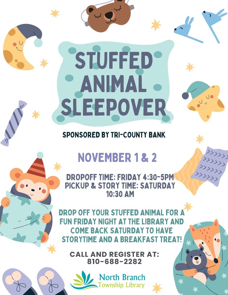 Stuffed Animal Sleep Over